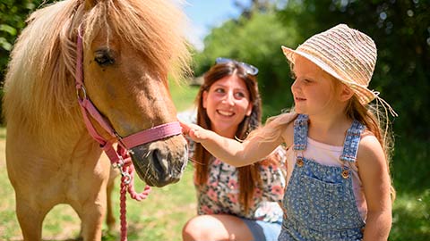 Week-end-famille-animaux